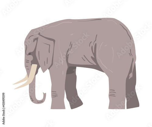 Standing Elephant as Large African Animal with Trunk, Tusks, Ear Flaps and Massive Legs Vector Illustration