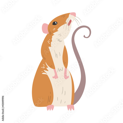 Field Mouse as Small Rodent with Long Tail and Dorsal Black Stripe Vector Illustration