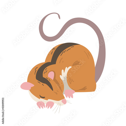 Field Mouse as Small Rodent with Long Tail and Dorsal Black Stripe Vector Illustration
