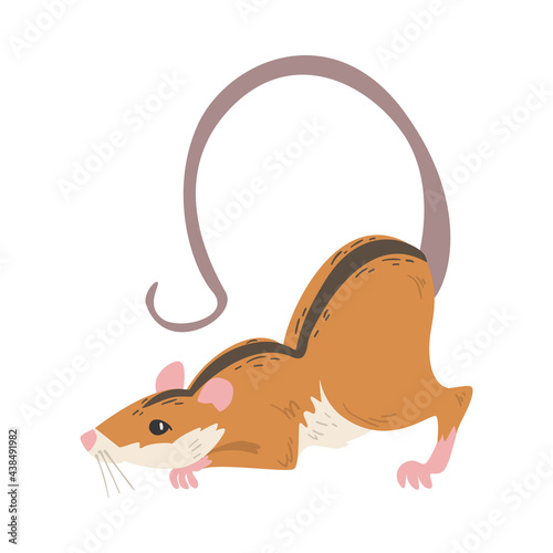 Field Mouse as Small Rodent with Long Tail and Dorsal Black Stripe Vector Illustration