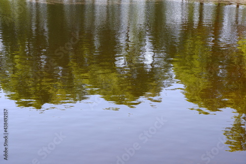 Reflection of trees in the pond.
