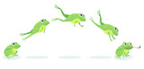 Animated process of frogs leaps sequence. Cartoon toad jumping for prey, catching insect vector illustration set. Animal, movement concept