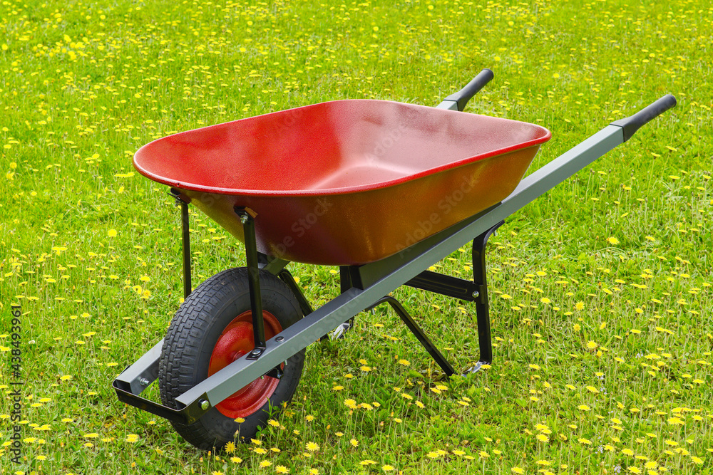 Red wheelbarrow on lawn with dandelions
Red wheelbarrow on lawn with dandelions