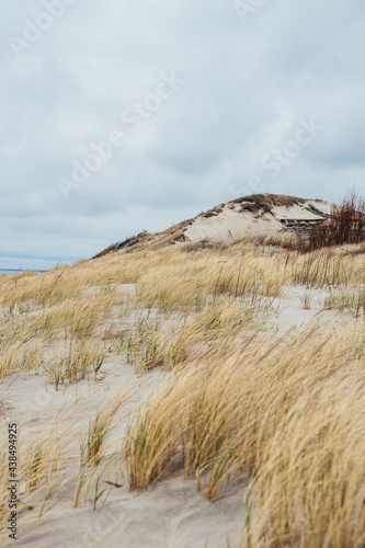 Beach at the Baltic Sea. Coastal scenery with sandy beach  dunes with marram grass and rough sea on winter day