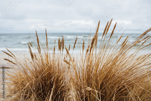 Fototapeta Naklejka Na Ścianę i Meble -  Beach at the Baltic Sea. Coastal scenery with sandy beach, dunes with marram grass and rough sea on winter day