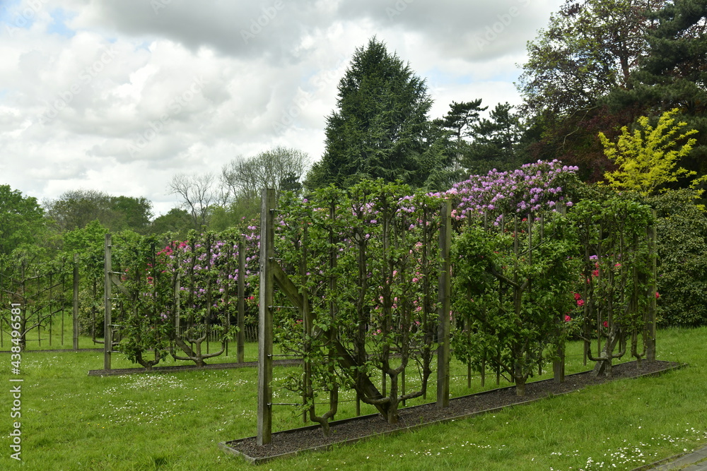 Décoration florale sur structures en bois aux jardins Jean Sobieski à Laeken