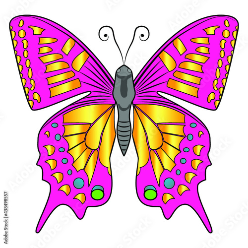 Beautiful graceful airy pink butterfly with a pattern. Vector illustration isolated on white background.