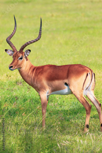Nakuru National Park Safari Tour © Michael