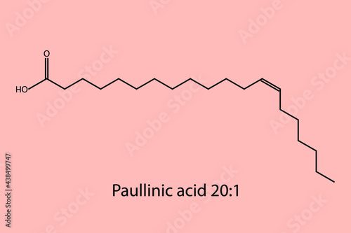 Paullinic Acid - Omega 7 biomolecule molecular formula. Skeletal molecule structure vector eps10.