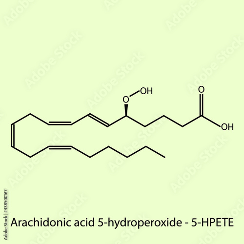 Arachidonic acid 5-hydroperoxide - Leukotriene biomolecule molecular formula. Skeletal molecule structure vector eps10.