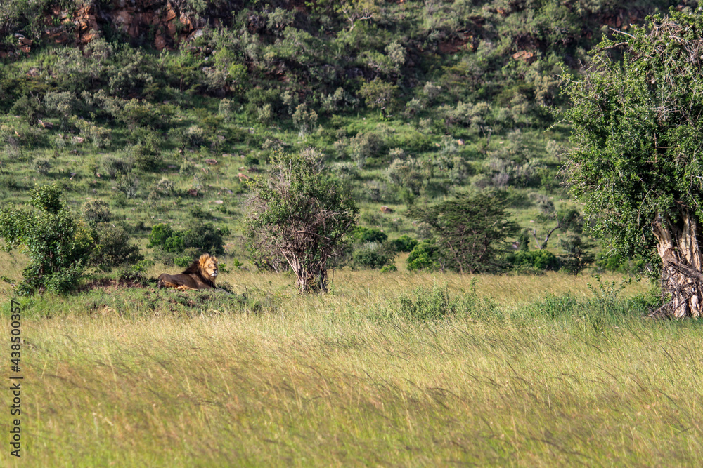 Maasai Mara National Park Safari Tour Maasai Mara National Park Safari Tour