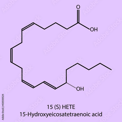 15-Hydroxyeicosatetraenoic acid - Eicosanoid biomolecule molecular formula. Skeletal molecule structure vector eps10.