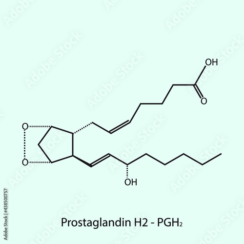 Prostaglandin H2 - Prostaglandin biomolecule molecular formula. Skeletal molecule structure vector eps10.