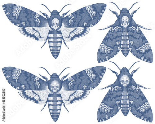 Acherontia Atropos. Butterfly Dead Head. Design set. Hand drawn engraving. Editable vector vintage illustration. Isolated on white background. 8 EPS