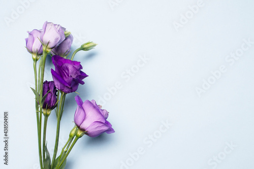 A branch of wildflowers on a blue background. Space for the text.