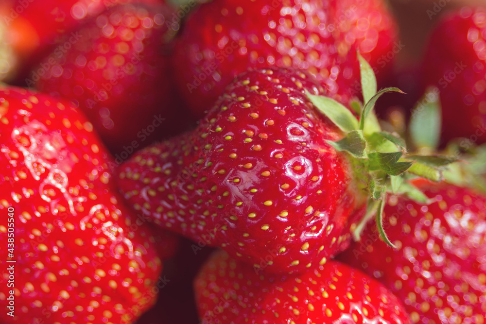 Red ripe big homemade strawberry close-up. A healthy summer berry. Red ripe big homemade strawberry close-up. A healthy summer berry.
