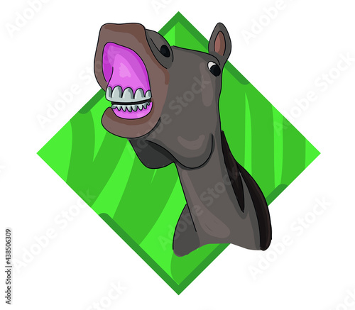 Vector simple cute colorful horse character