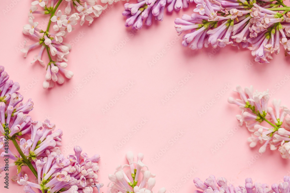 Floral composition with a place for text in the form of a frame of lilac on pink background.