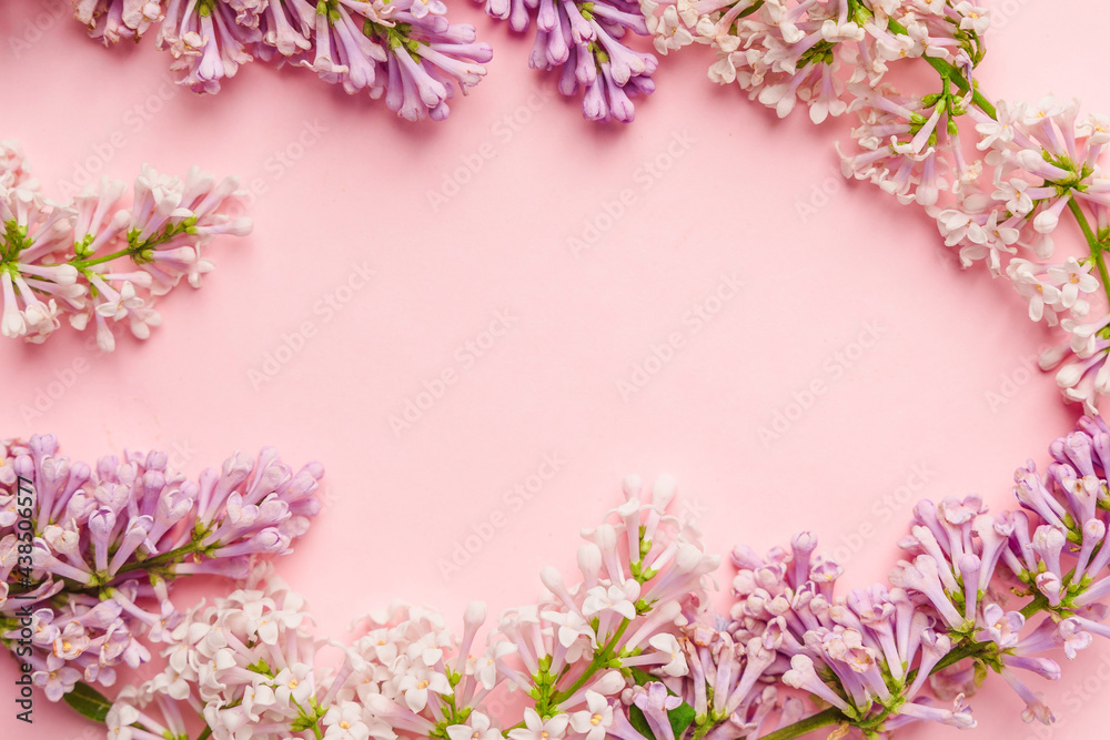 Floral composition with a place for text in the form of a frame of lilac on pink background.