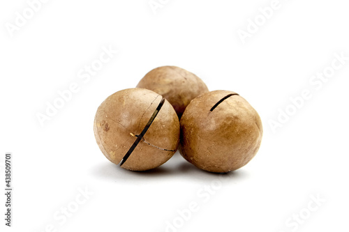 Roasted macadamia nuts isolated on white background. Three unshelled macadamia nuts