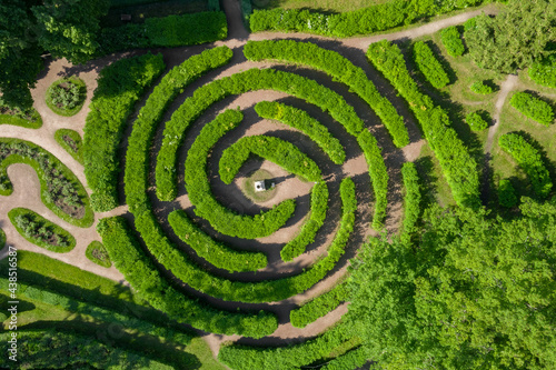Aerial view of the Labyrinth of Bushes in the Pavlovsk Landscape Park. A sample of bushes. Summer season. Lawn design. View from above.