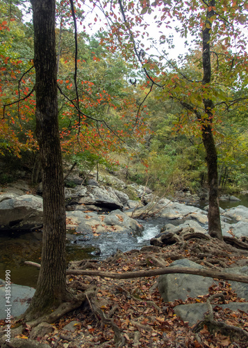 A beautiful fall day with the leaves beginning to change colors over a gently flowing creek in Arkansas.