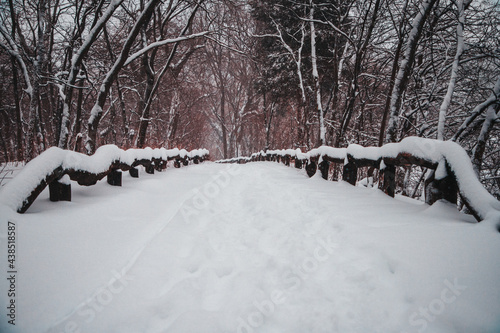 Snow, Winter Photography, Snow Photography, Bird Photography, Wildlife © Branden