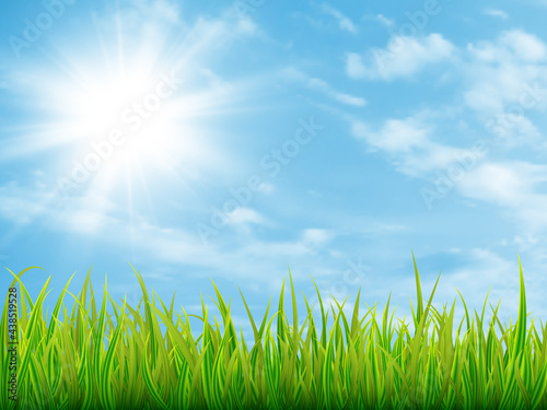 Green grass and blue sky with clouds. Nature summer background. Vector illustration