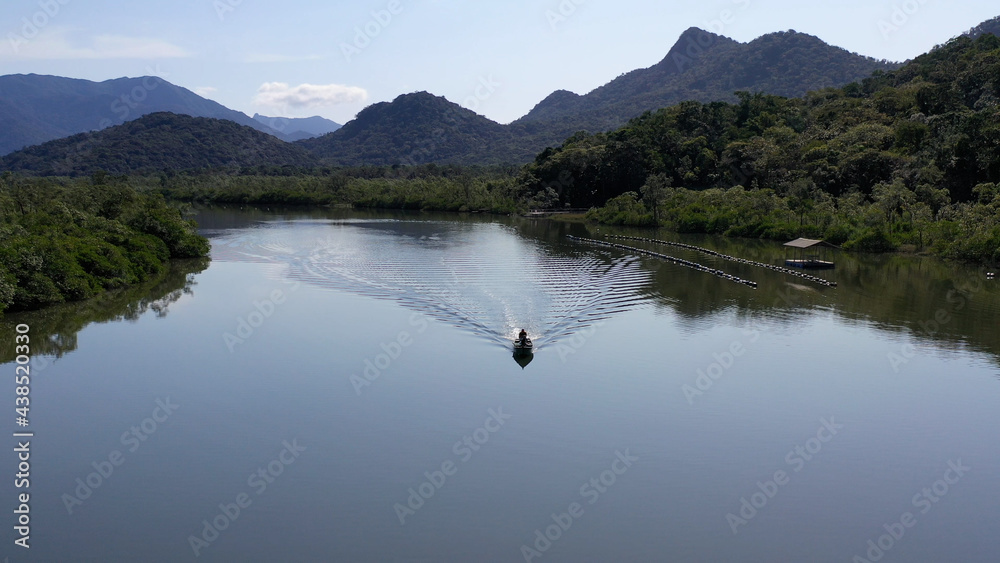 Mata Atlântica Floresta Meio Ambiente Brasil Mata Atlântica Floresta Meio Ambiente Brasil