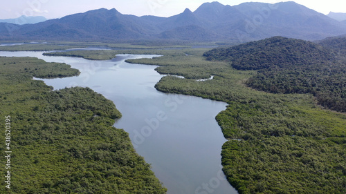 Mata Atlântica Floresta Meio Ambiente Brasil