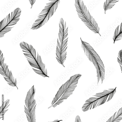 Hand drawn rustic ethnic decorative feathers. Vector seamless pattern. Tribal bird feathers ornament. Vector ink illustration isolated on white background. Ethnic boho style hand drawing