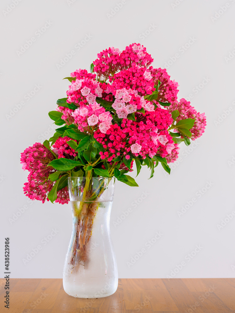 Naklejka premium Mountain Laurel flower bundle in a glass vase, slanted arrangement