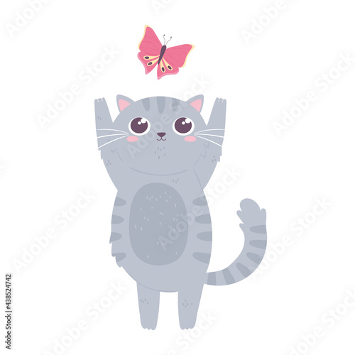cute cat with butterfly