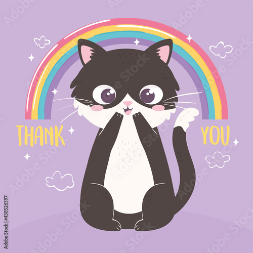 cute kitty rainbow