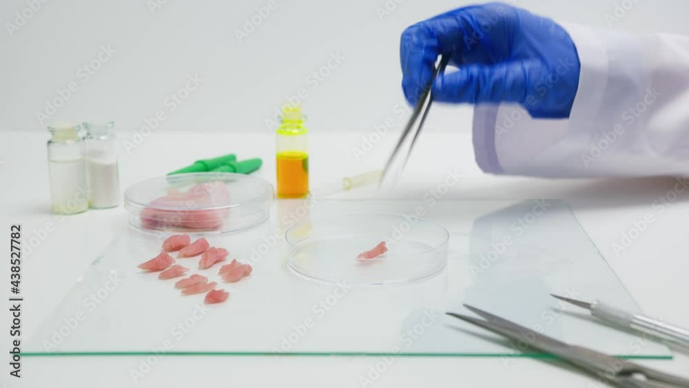 Medical scientist specialist dripping from pipette with yellow solution on meat, food research in laboratory. Genetic Modifications of Product. Microbiologist analyzing lab-grown piece of meat. Medical scientist specialist dripping from pipette with yellow solution on meat, food research in laboratory. Genetic Modifications of Product. Microbiologist analyzing lab-grown piece of meat.