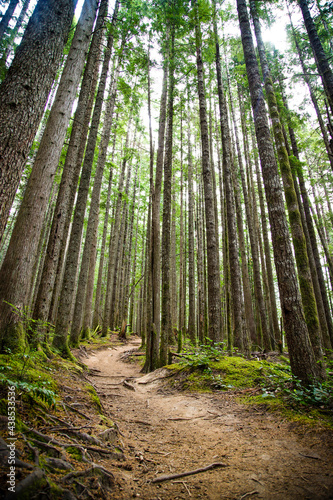 Hiking Trail