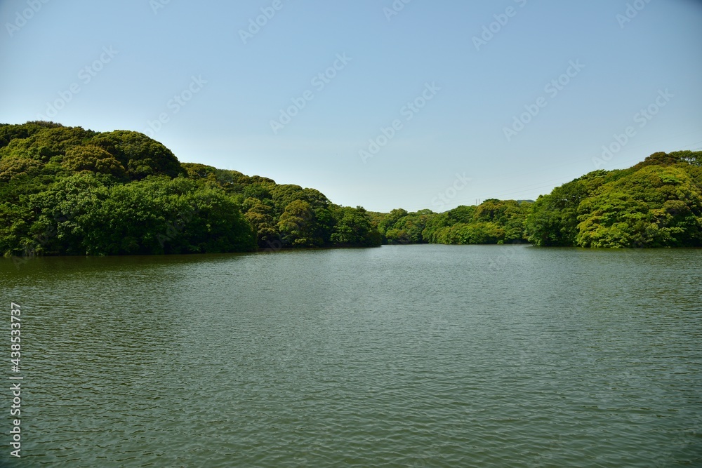 初夏の湖、静かな入り江の風景 初夏の湖、静かな入り江の風景