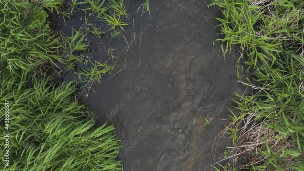 Top down view of small creek running through long grass