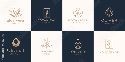 Tropical plants, leaves and branches with flowers, set of elements with golden color.