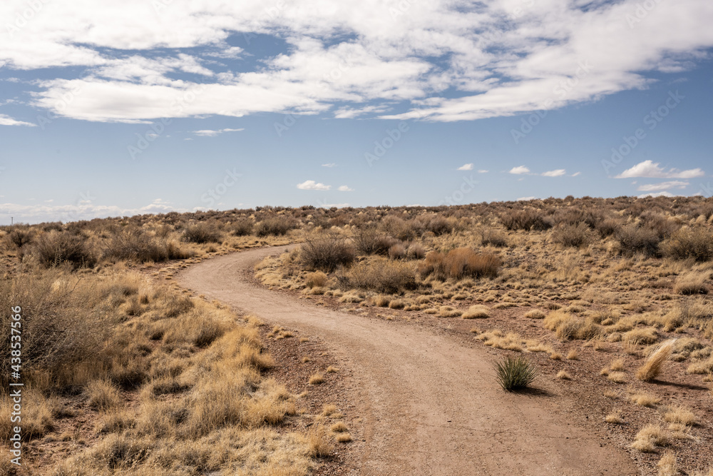 Wide Gravel Path of Tawa Trail In Petrified Forest Wide Gravel Path of Tawa Trail In Petrified Forest