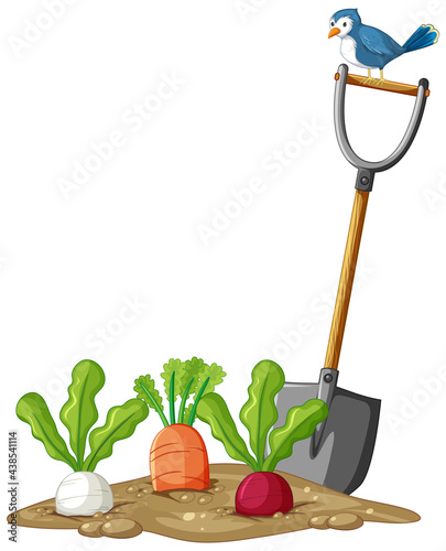 Many root vegetables in soil with shovel in cartoon style isolated