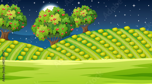 Blank nature park landscape at night scene