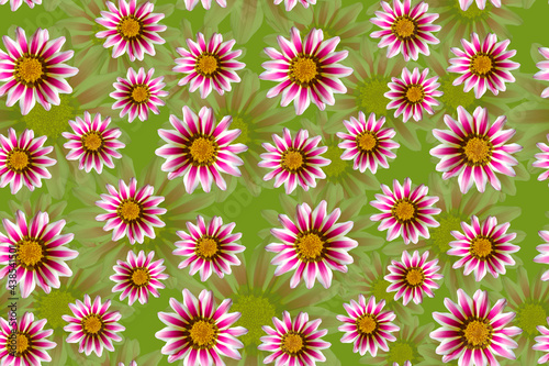 Seamless floral pattern on a green background.