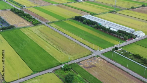 Aerial Drone Footage of Grid Farm Land and Rice Paddy Field at Doliu City Taiwan. photo