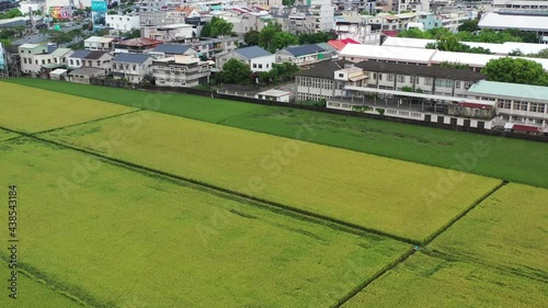 Bird Eye View Aerial Drone Footage of Farm Land Rice Paddy Field Tilting Upward leading to the city buildings and beautiful mountains at the background at Doliu City Taiwan - Urban Agriculture. photo