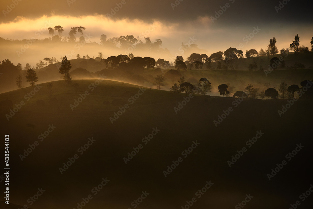 Obraz premium Beautiful view of cukul tea plantation located in West Java, Indonesia.