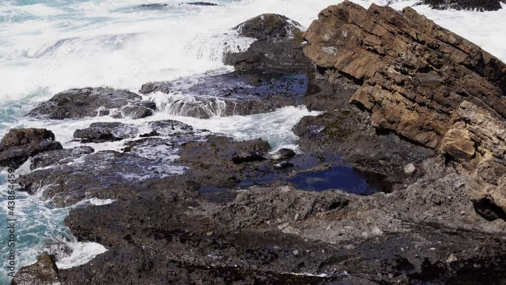 Seals on rocks with waves crashing 