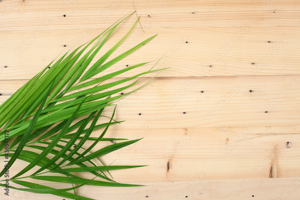 Green palm leaf isolated on wooden background with copyspace Green palm leaf isolated on wooden background with copyspace