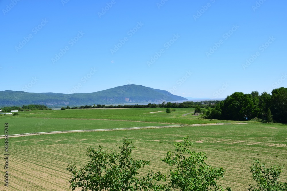 Fototapeta premium Orlean island on the St-Lawrence river