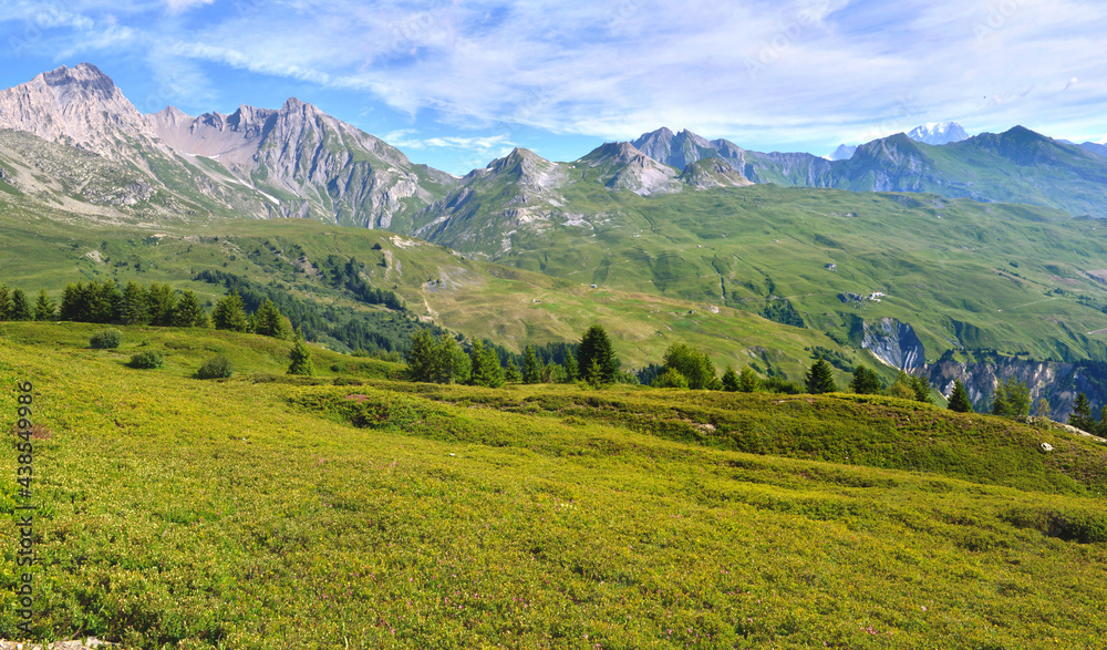 alpine mountain range and meadow in the valley